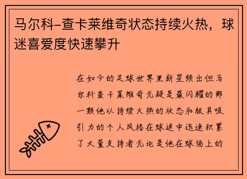 马尔科-查卡莱维奇状态持续火热，球迷喜爱度快速攀升
